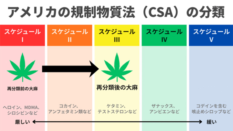 What-is-the-reclassification-of-cannabis-in-the-US_800x450
